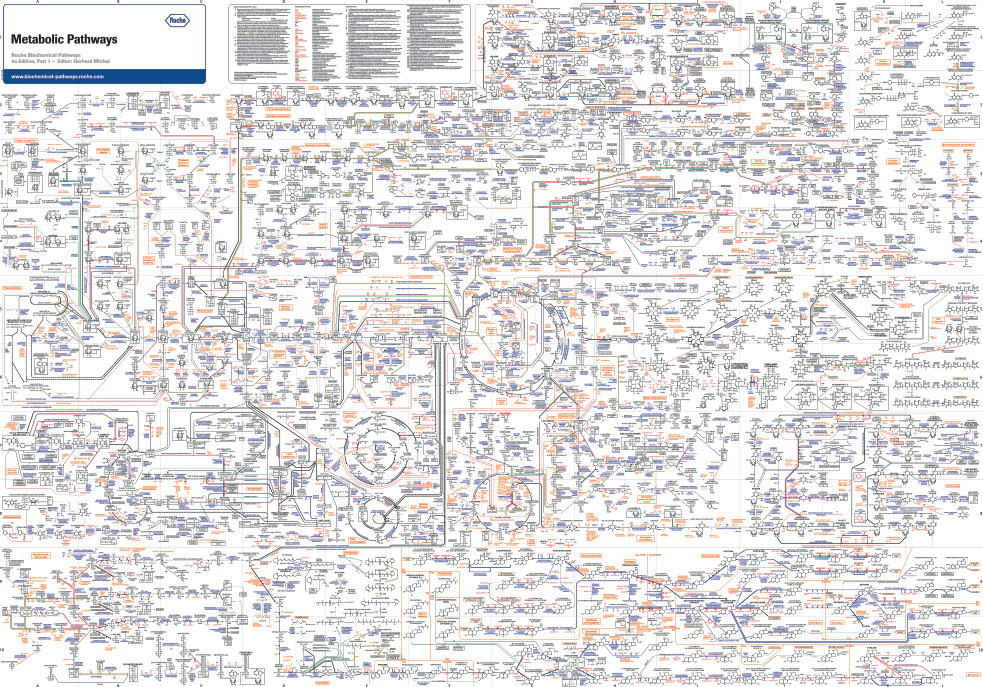 Biochemical Pathways, Part 1: Metabolic Pathways.